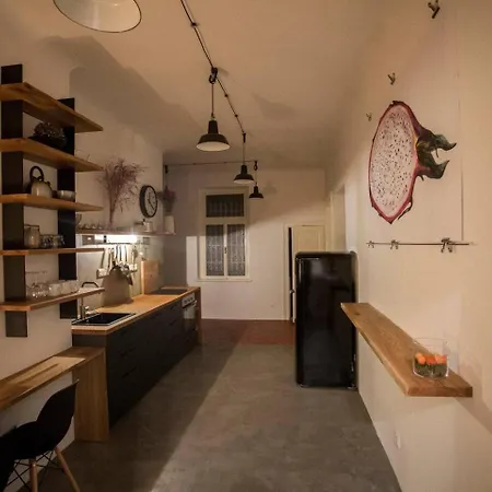 Appartement Bright Stylish Praag